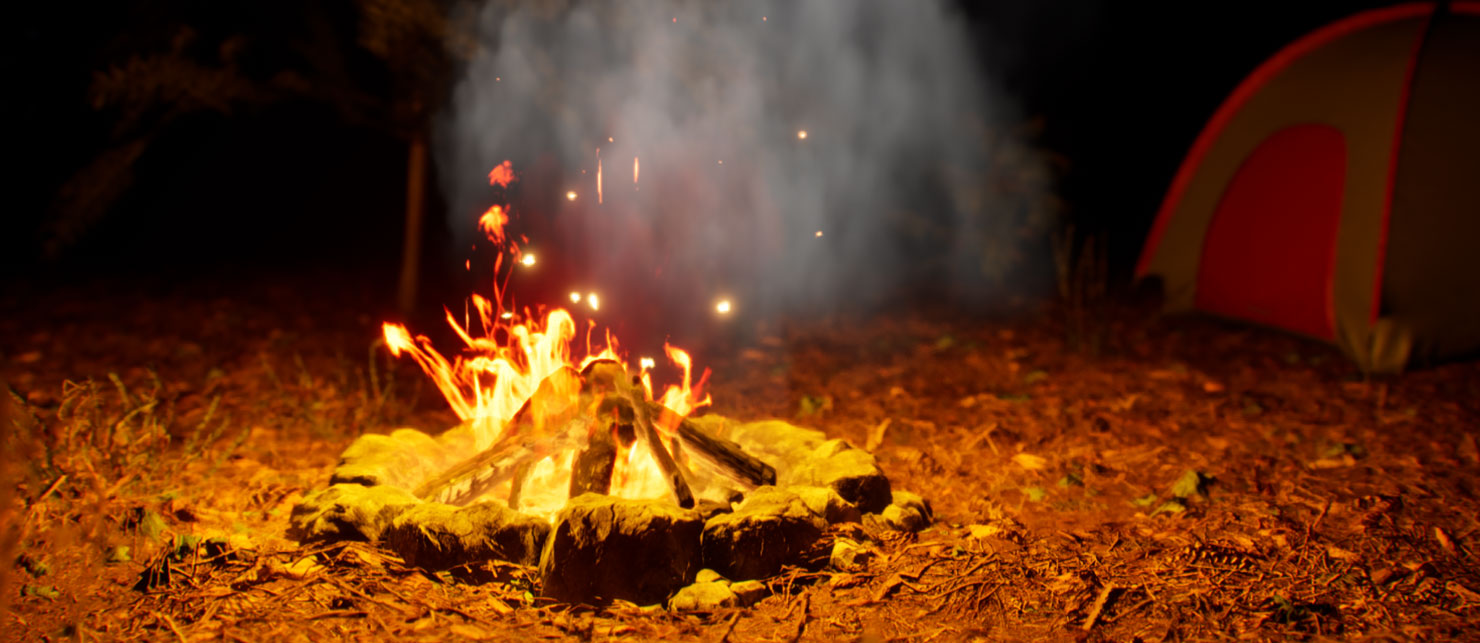 Campfire with Cooking