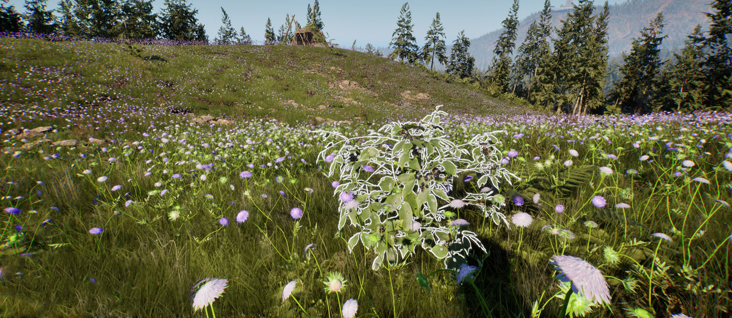 Flora Sustenance System