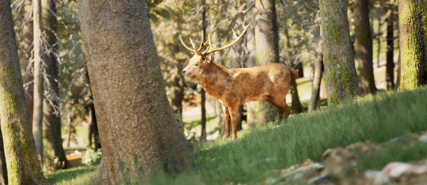 Passive Animal with Fear Behavior